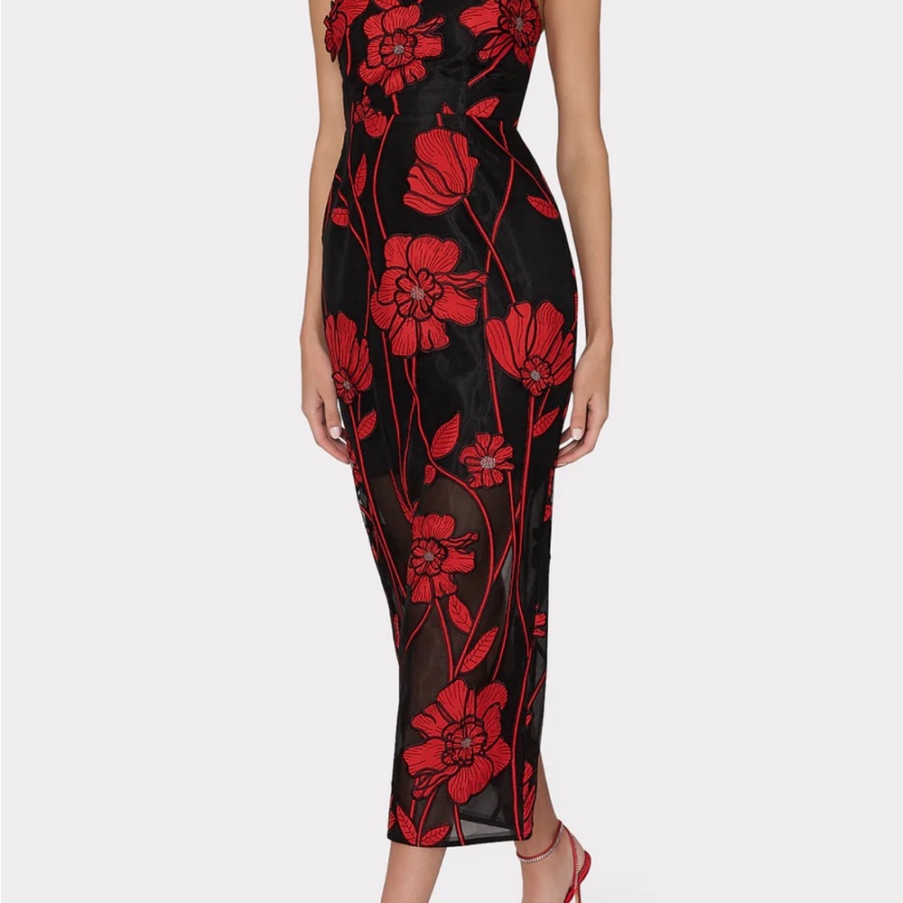 Black and Red Floral Dress